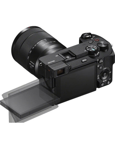 Alpha 6700 + SEL 18-135mm f/3.5-5.6 OSS